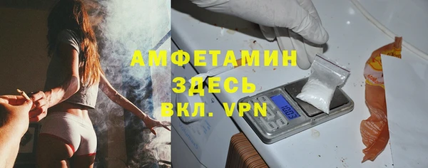 гидра Кедровый