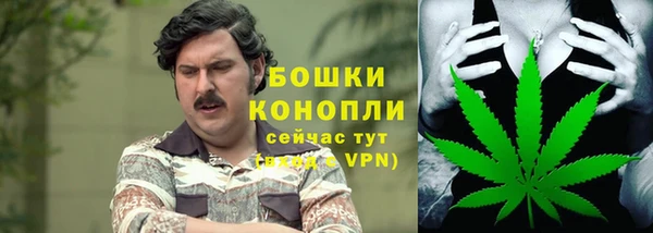 гидра Кедровый