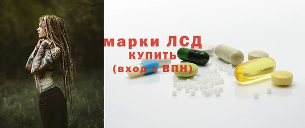 ГАЛЛЮЦИНОГЕННЫЕ ГРИБЫ Кемь